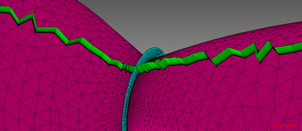 Prismatic Boundary Layer Mesh on Throat