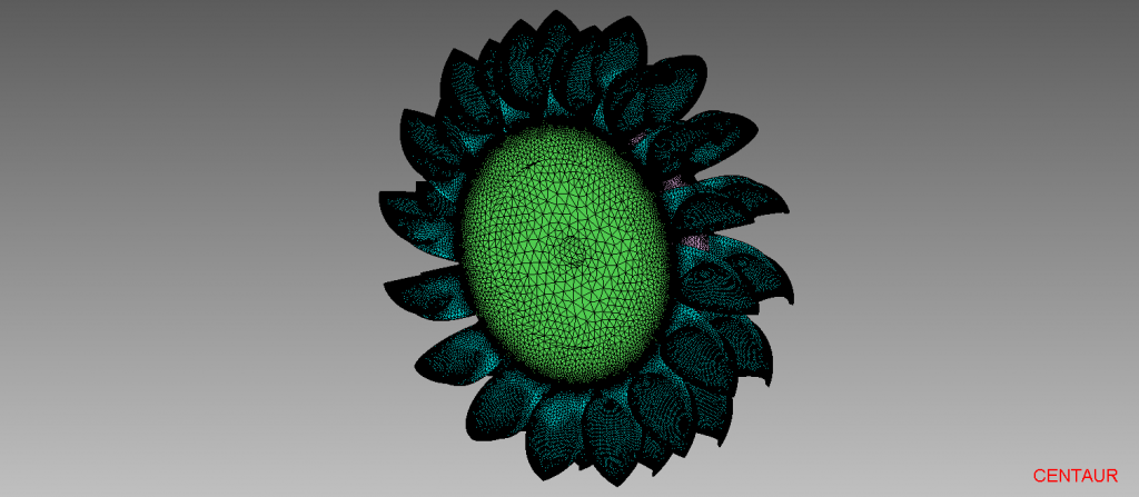 Surface Mesh